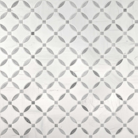 Msi Bianco Dolomite Lola 10.25 x 10.25 Polished Marble Mosaic Floor And Wall Tile, 10PK ZOR-MD-0576